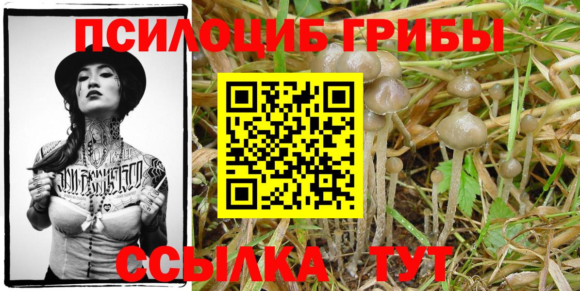 Выкса  Галлюциногенные грибы мухоморы  Вход с VPN  Псилоцибиновые грибы Magic Shrooms 