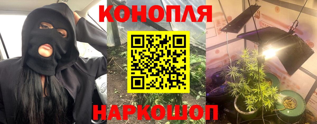 Каннабис индика Выкса
